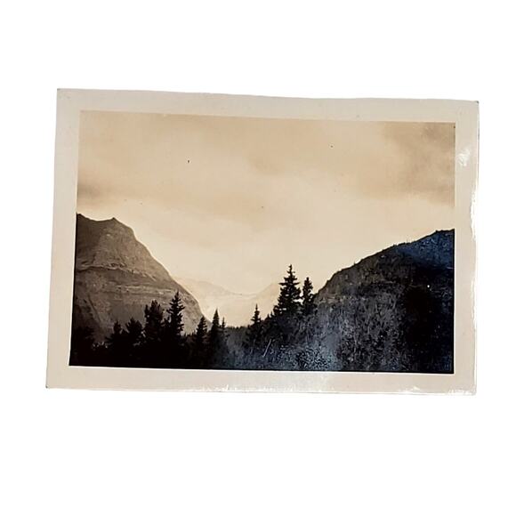 Vtg B&W Photo Found 1940s Yellowstone Nat Park Trees Mountain Top View Snapshot - Picture 1 of 4